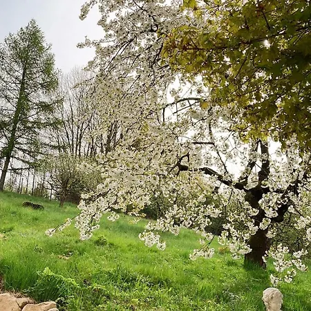 Golf Elisabeth Mariánské Lázně