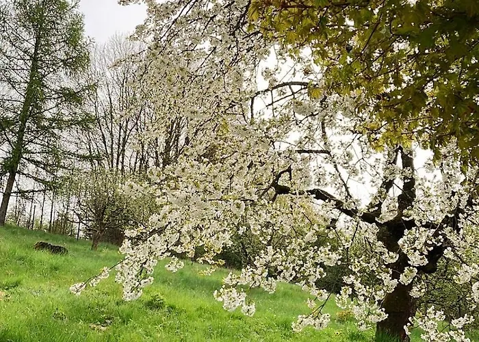 Golf Elisabeth 마리안스케 라즈네